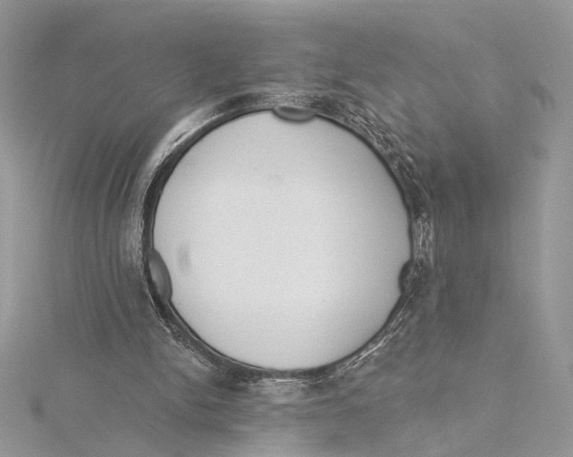 X0000115550150200912041039