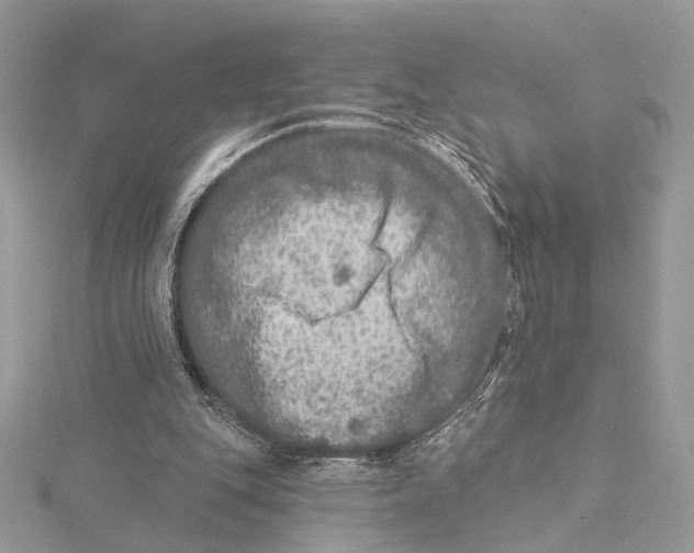 X0000115550151200912041039