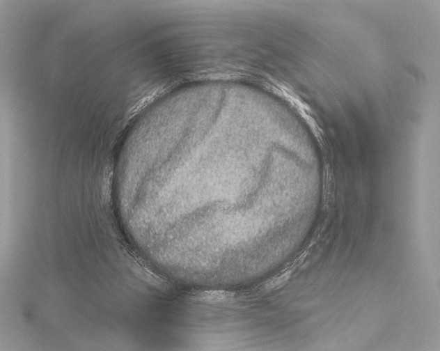 X0000115550153200912041039