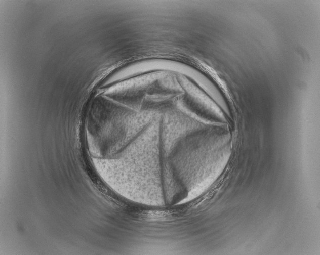 X0000115550154200912041039