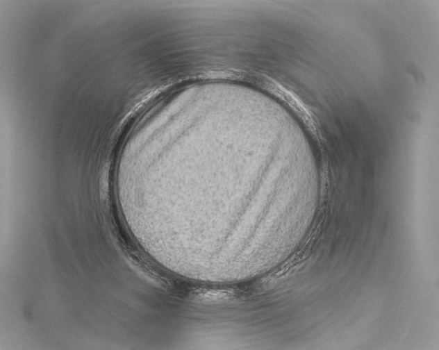 X0000115550155200912041039