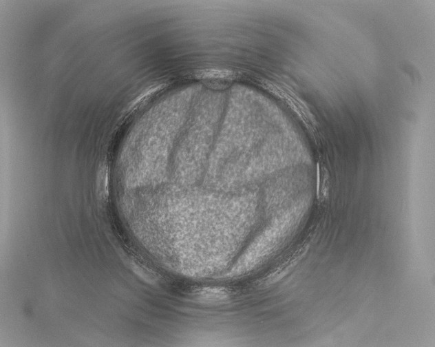 X0000115550157200912041039