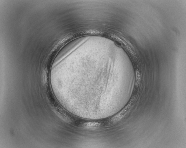 X0000115550158200912041039