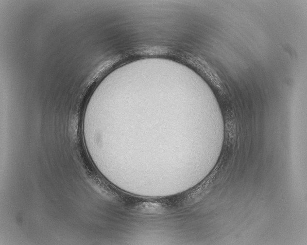 X0000115550159200912041039