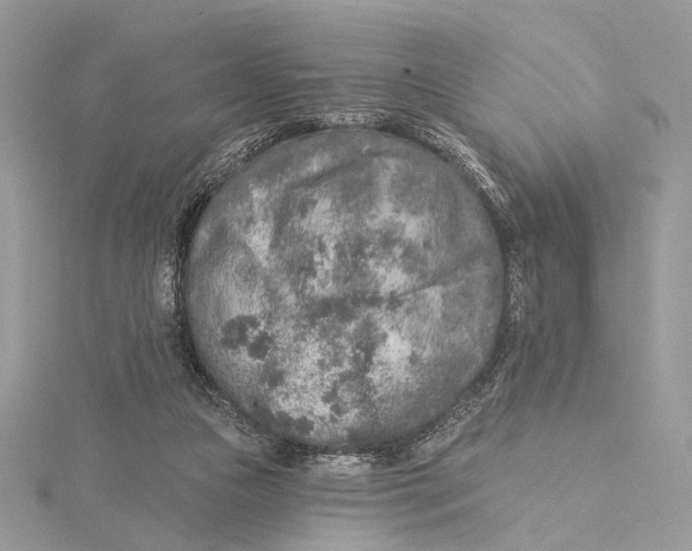 X0000115550161200912041039