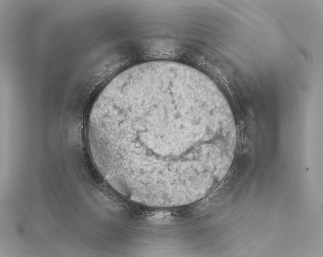 X0000115550162200912041039