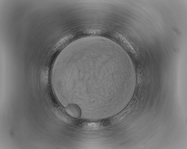 X0000115550163200912041039