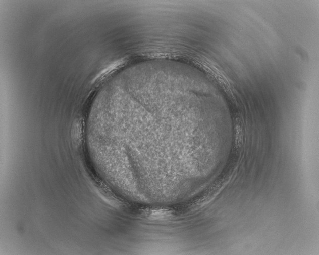 X0000115550165200912041039