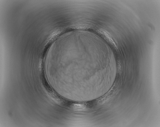 X0000115550167200912041039