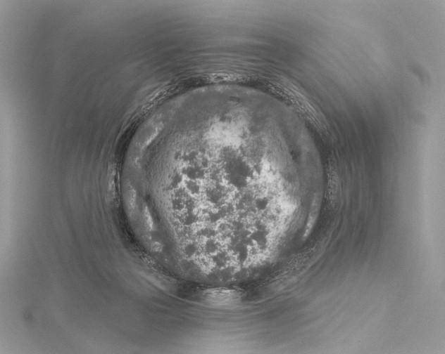 X0000115550169200912041039