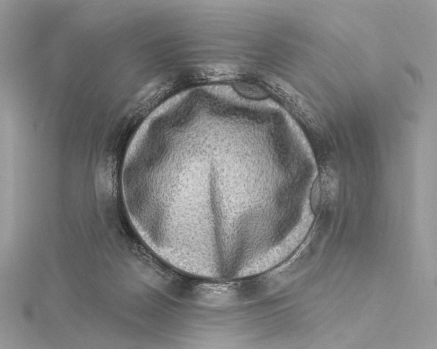 X0000115550170200912041039