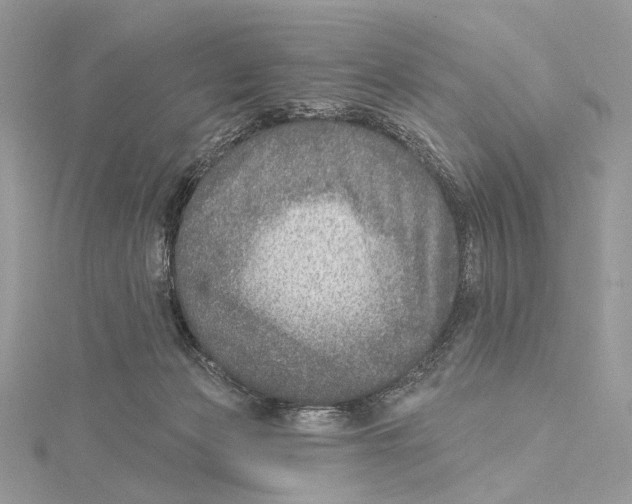 X0000115550173200912041039