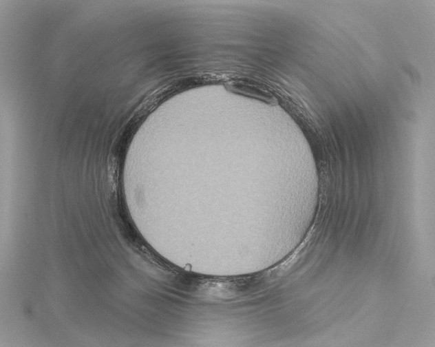 X0000115550174200912041039