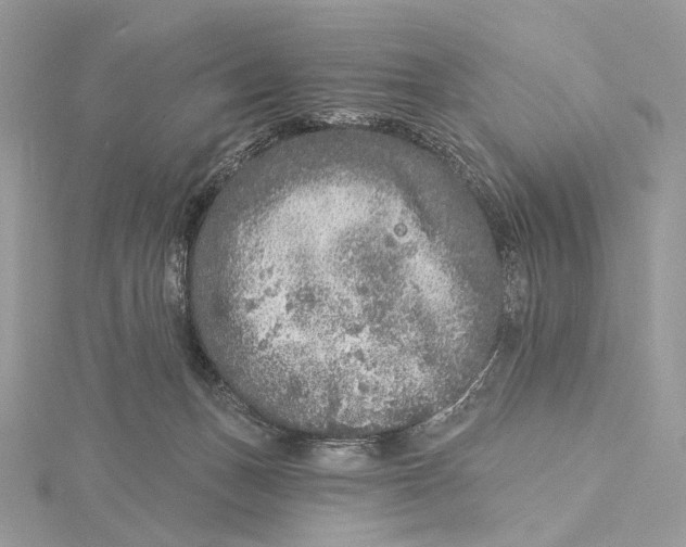 X0000115550175200912041039