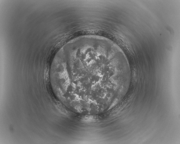 X0000115550177200912041039