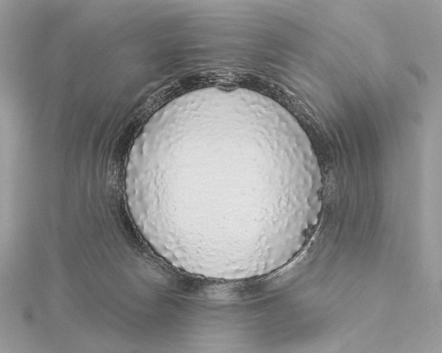 X0000115550178200912041039