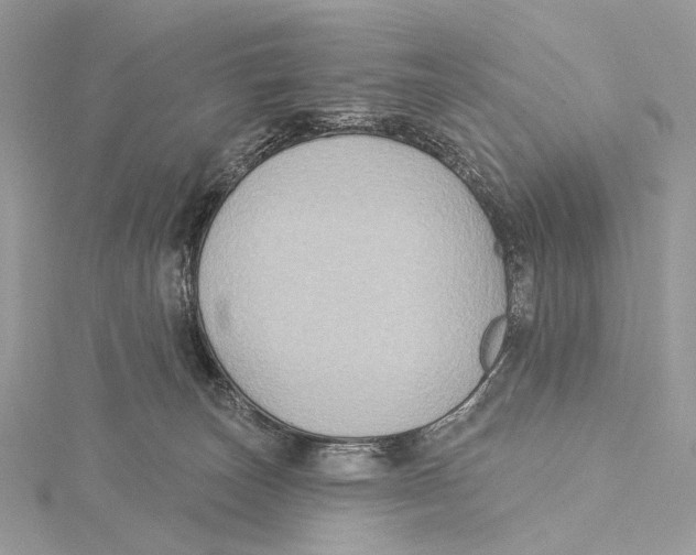 X0000115550179200912041039