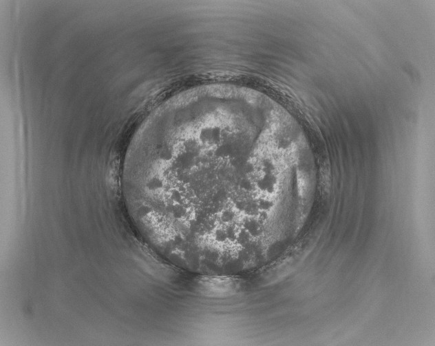 X0000115550181200912041039