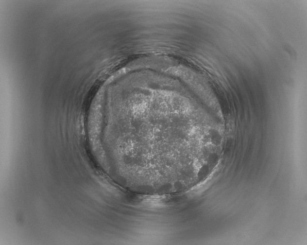 X0000115550182200912041039