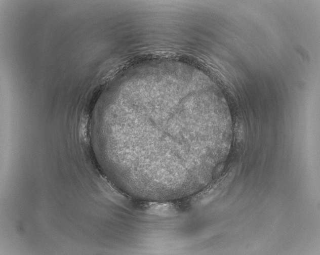 X0000115550185200912041039