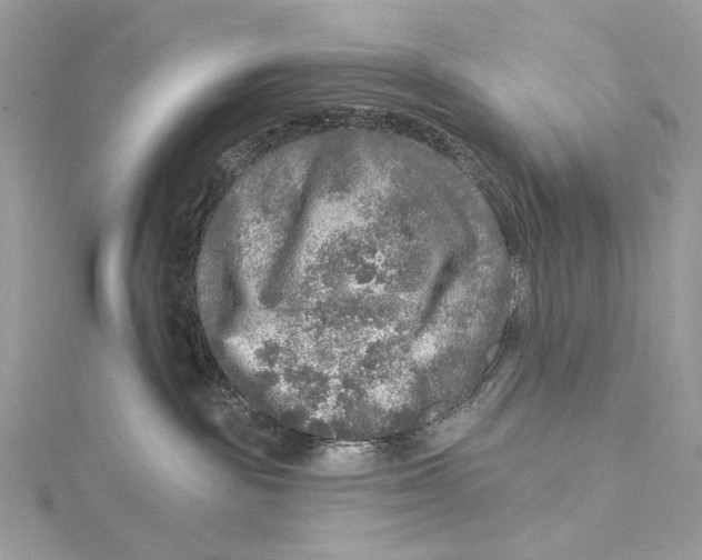 X0000115550189200912041039