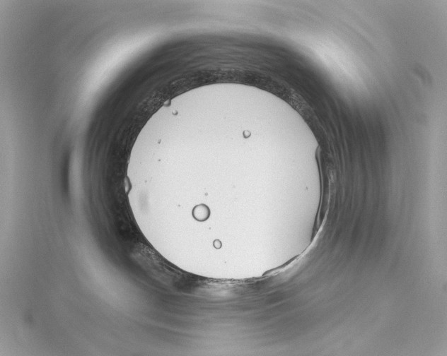 X0000115550190200912041039