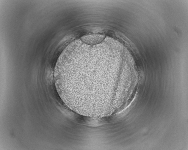 X0000115550191200912041039