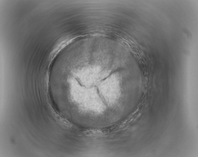 X0000115550194200912041039