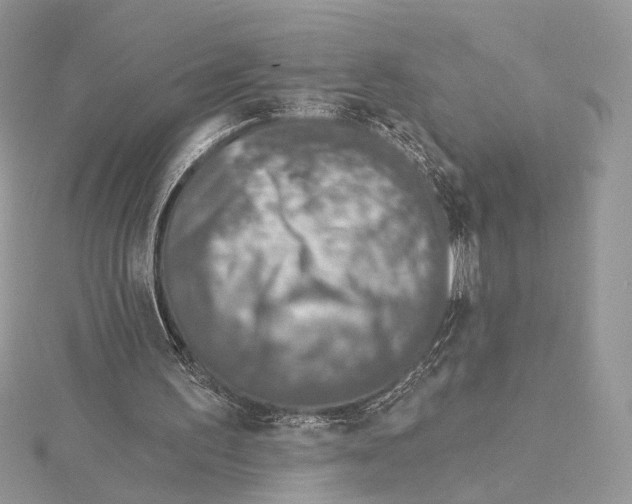 X0000115550195200912041039