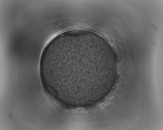 X0000115550196200912041039