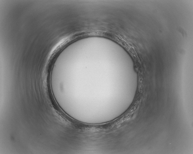 X0000115550197200912041039