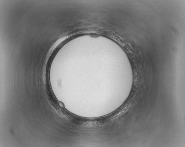 X0000115550200200912041039