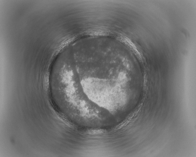 X0000115550202200912041039