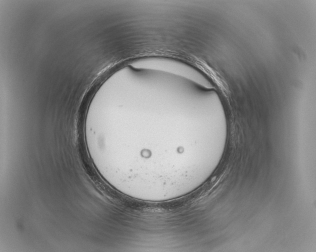 X0000115550203200912041039