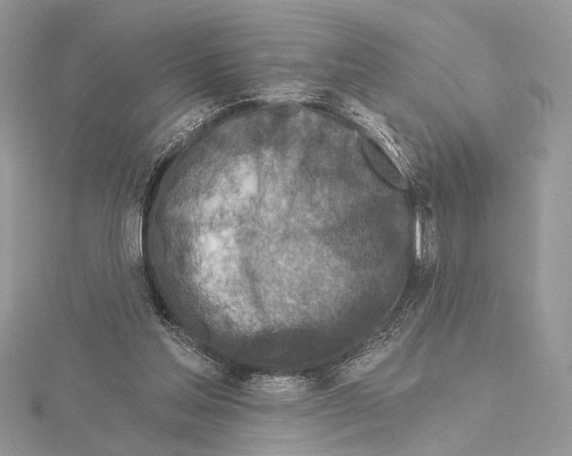 X0000115550205200912041039