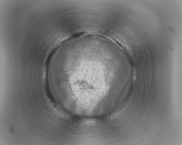 X0000115550206200912041039