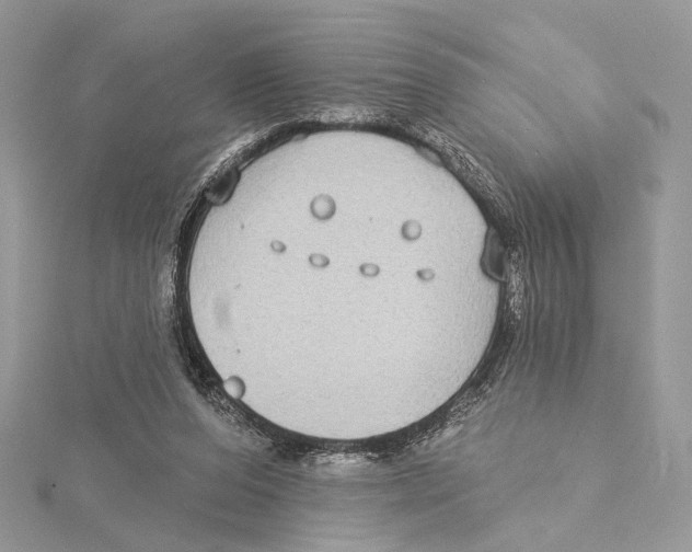 X0000115550208200912041039