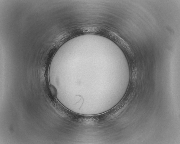 X0000115550209200912041039