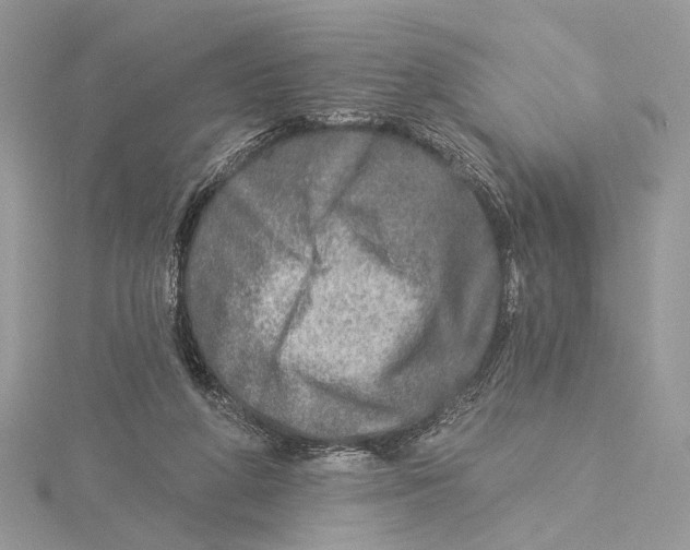 X0000115550210200912041038