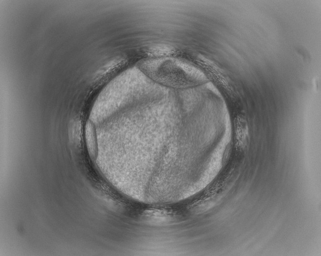 X0000115550211200912041038