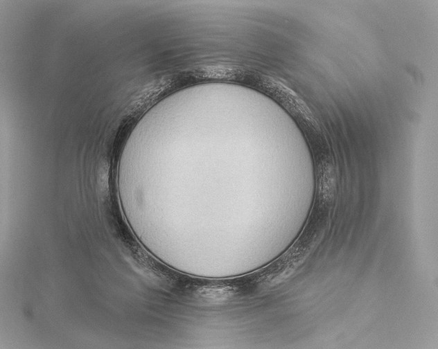 X0000115550213200912041038