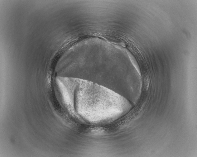 X0000115550214200912041038