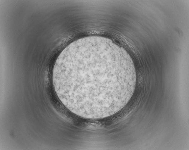 X0000115550215200912041038