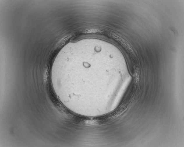 X0000115550216200912041038