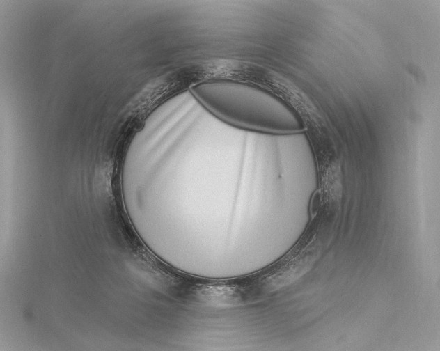 X0000115550217200912041038