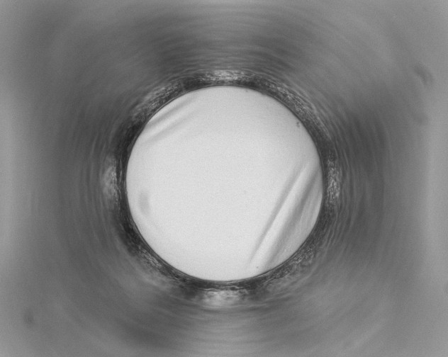 X0000115550220200912041038