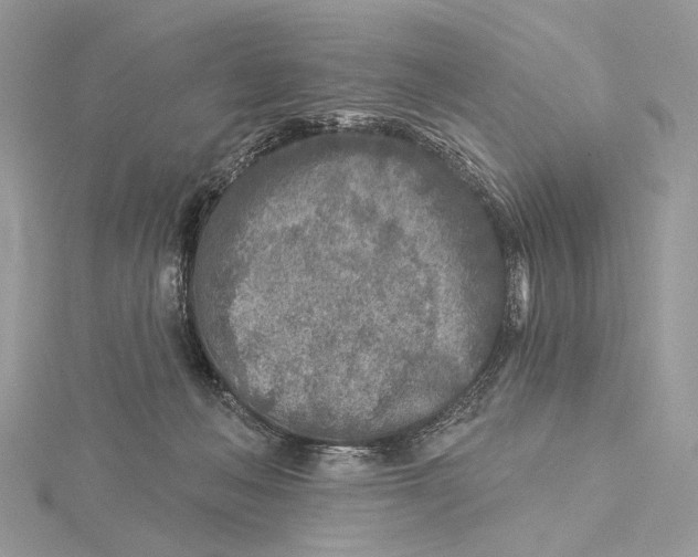 X0000115550222200912041038