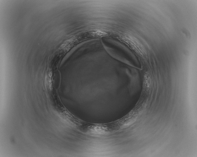 X0000115550223200912041038