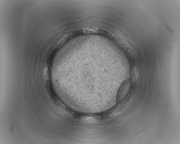 X0000115550224200912041038