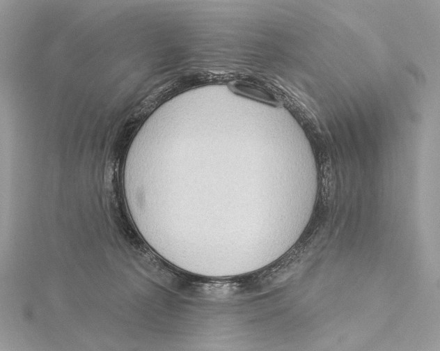 X0000115550225200912041038